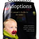 American Bar Association Kindle eBook Children & Family Law Guide-0