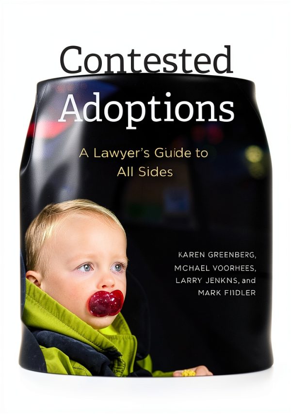 American Bar Association Kindle eBook Children & Family Law Guide-0
