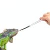 Extra Long Feeding Tongs with Rubber Cover Tips,2PCS 11.8" Stainless Steel Long Tweezers for Fish Tank,Terrarium,Reptile, Bearded Dragon(Straight and Curved Tweezers） (Silver, 11.8inch)-3