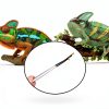 Extra Long Feeding Tongs with Rubber Cover Tips,2PCS 11.8" Stainless Steel Long Tweezers for Fish Tank,Terrarium,Reptile, Bearded Dragon(Straight and Curved Tweezers） (Silver, 11.8inch)-5