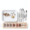 Entomology Forceps Set by MMOBIEL [5 Pcs] – Stainless Steel Precision Instruments with Rubber Tip Forceps Tweezers for Entomology, Insect/Bug/Butterfly Pinning, Dissecting, Taxidermy and Delicate Work-3